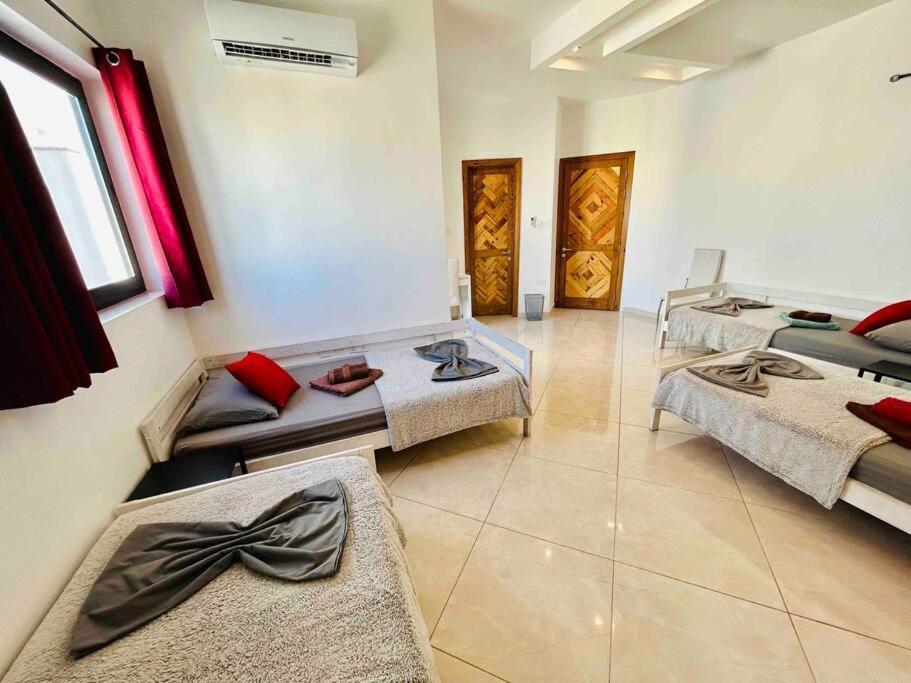 Duplex Whiskey Home 200M Away From The Sea And The Square خليج سانت بول المظهر الخارجي الصورة